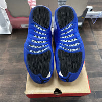Blueberry Jordan 12 (USED)