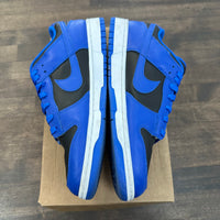 Cobalt Nike Dunk Low (USED,NO BOX)