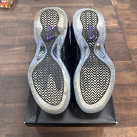 Eggplant Foamposite (2024) (USED)