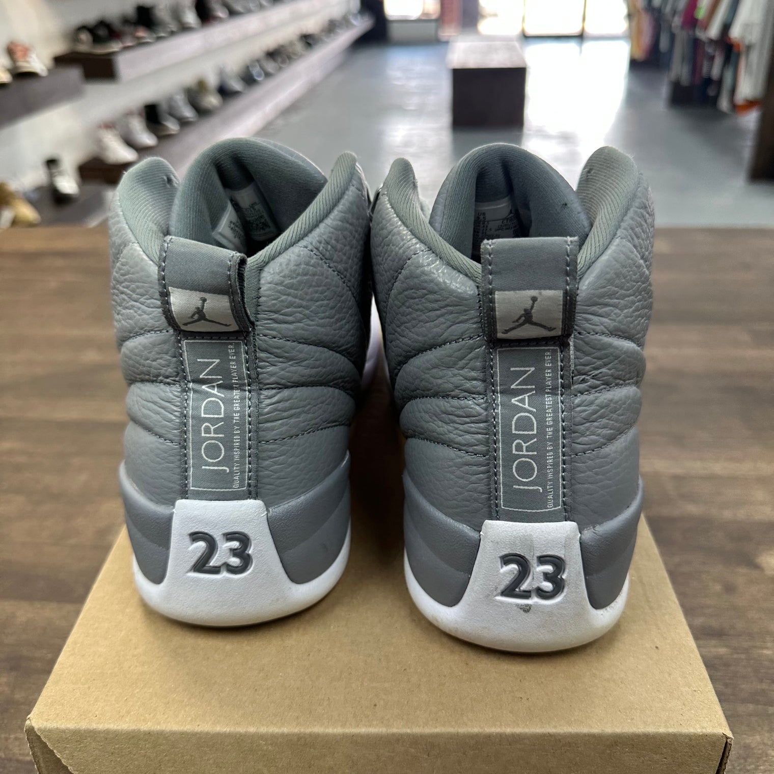 Stealth Jordan 12 Retro (USED, no box)