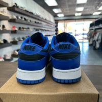 Cobalt Nike Dunk Low (USED,NO BOX)