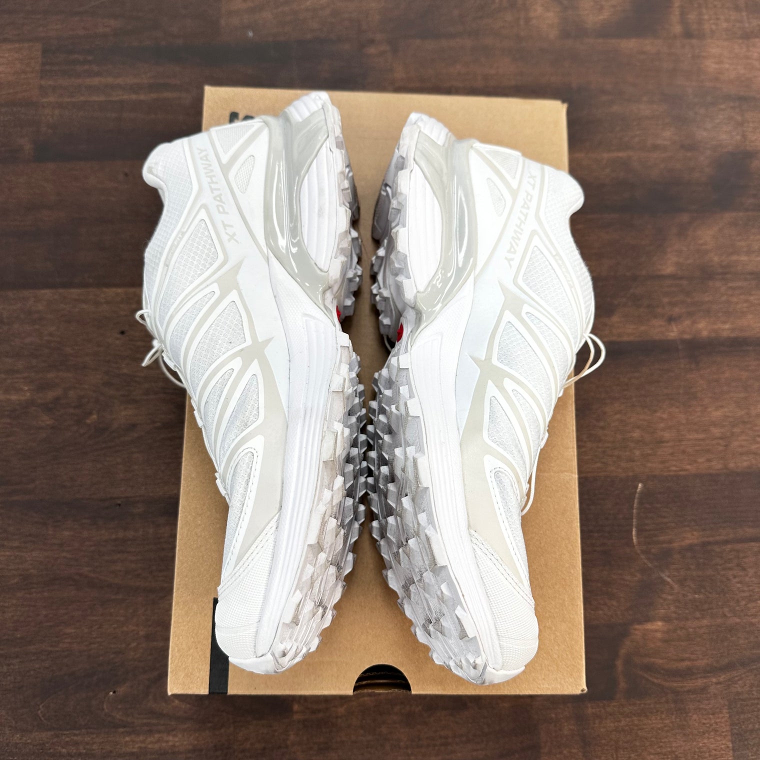 White Lunar Rock Salomon XT-Pathway (USED)