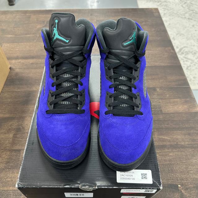 Grape Jordan 5 (USED, No Box)