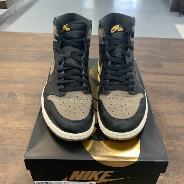 Palomino Jordan 1 High (USED)