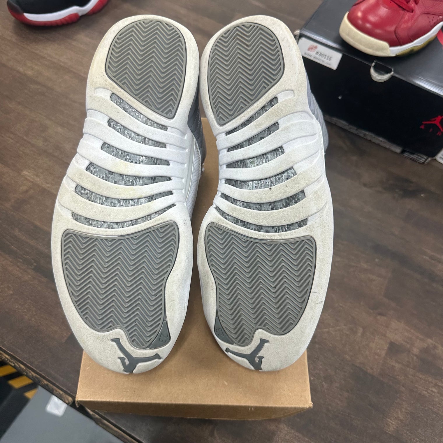 Stealth Jordan 12 (USED, No Box)