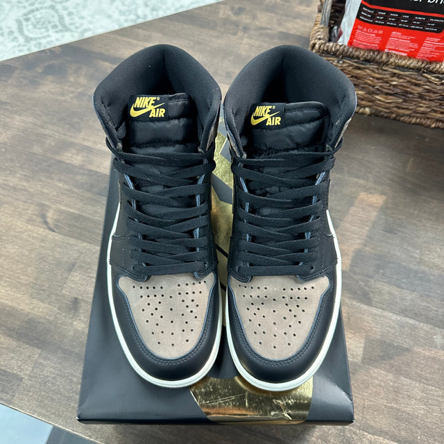 Palomino Jordan 1 High (USED)