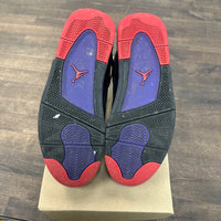 Raptors Jordan 4 (2018) (USED,No Box)