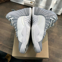Jordan 12 Stealth 2022 (USED, no box)