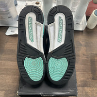 (GS) Bleached Turquoise Mint Jordan 3 (USED)