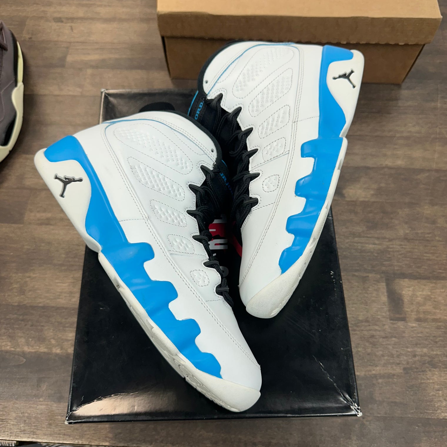 Powder Blue Jordan 9 (USED)