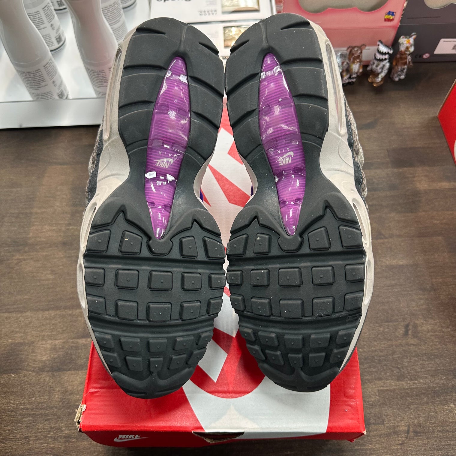 Viotech Anthracite Air Max 95 (W) (USED)