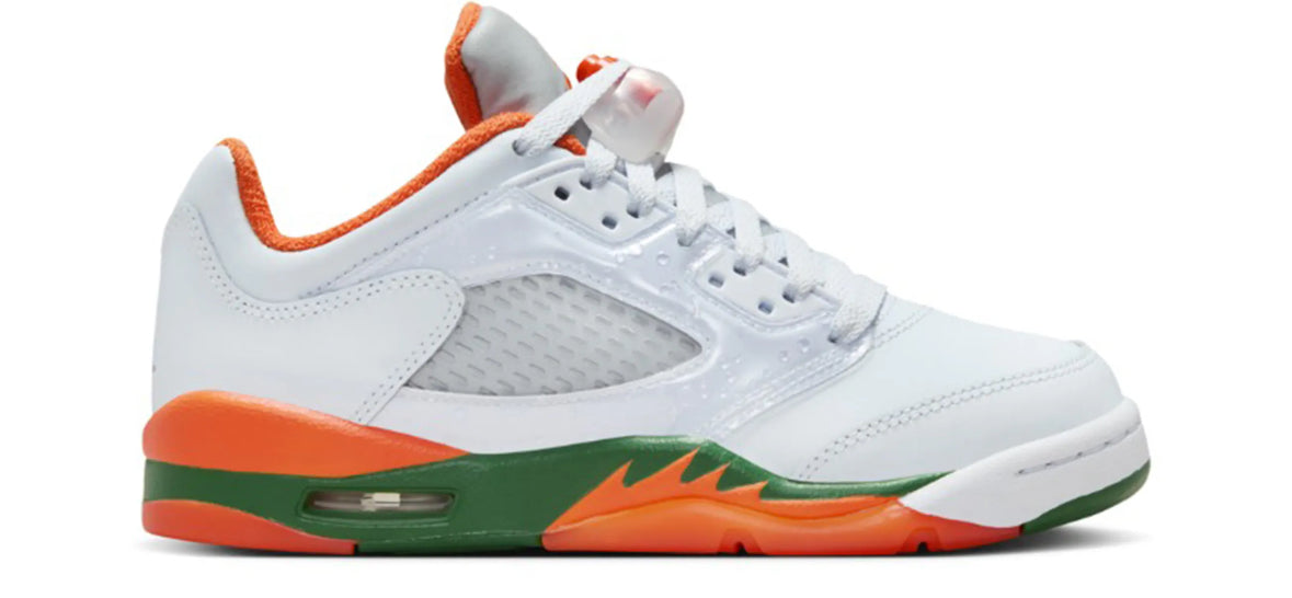 Miami Hurricanes Jordan 5 Low GS