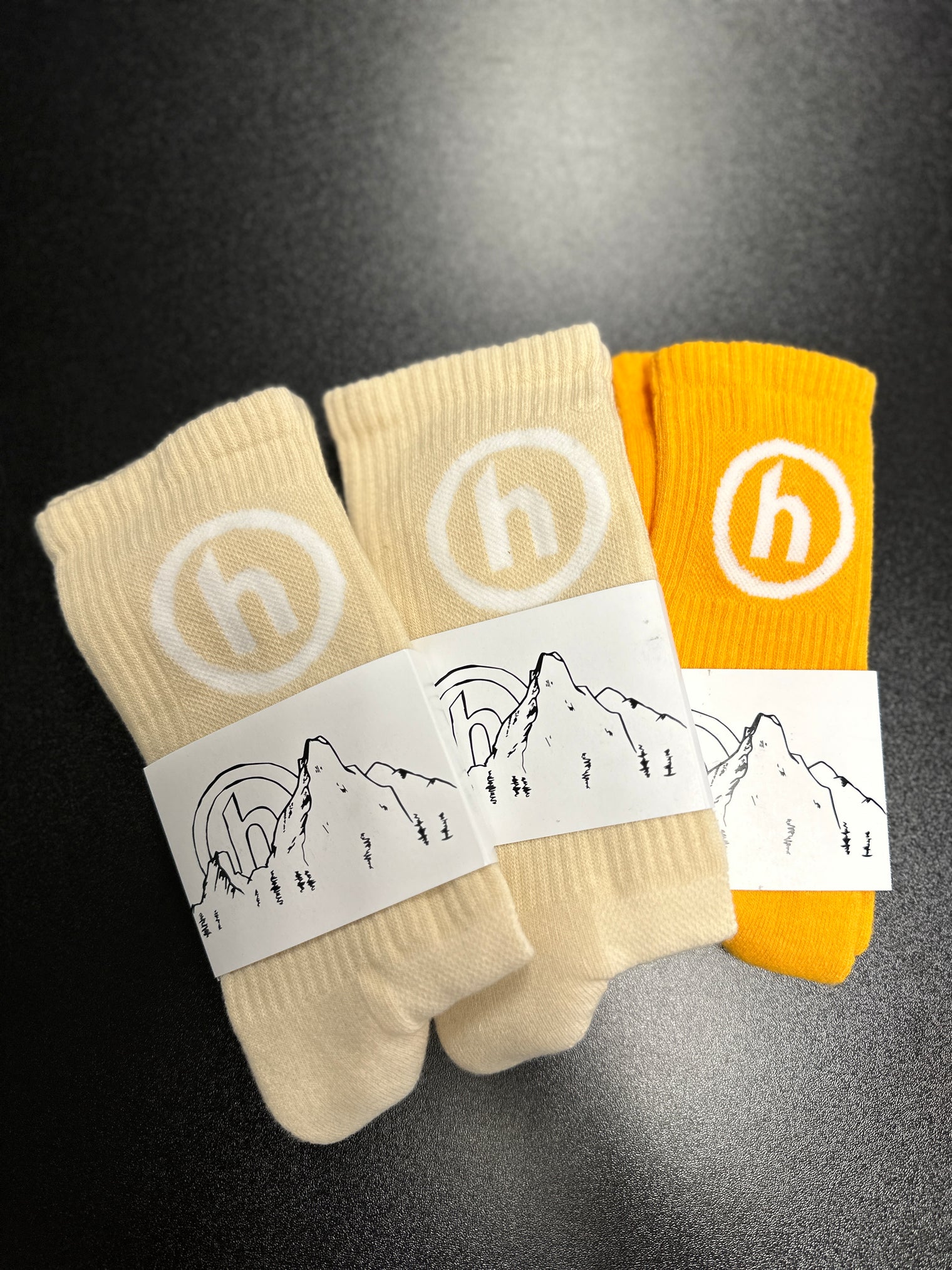 HIDDEN Society Socks