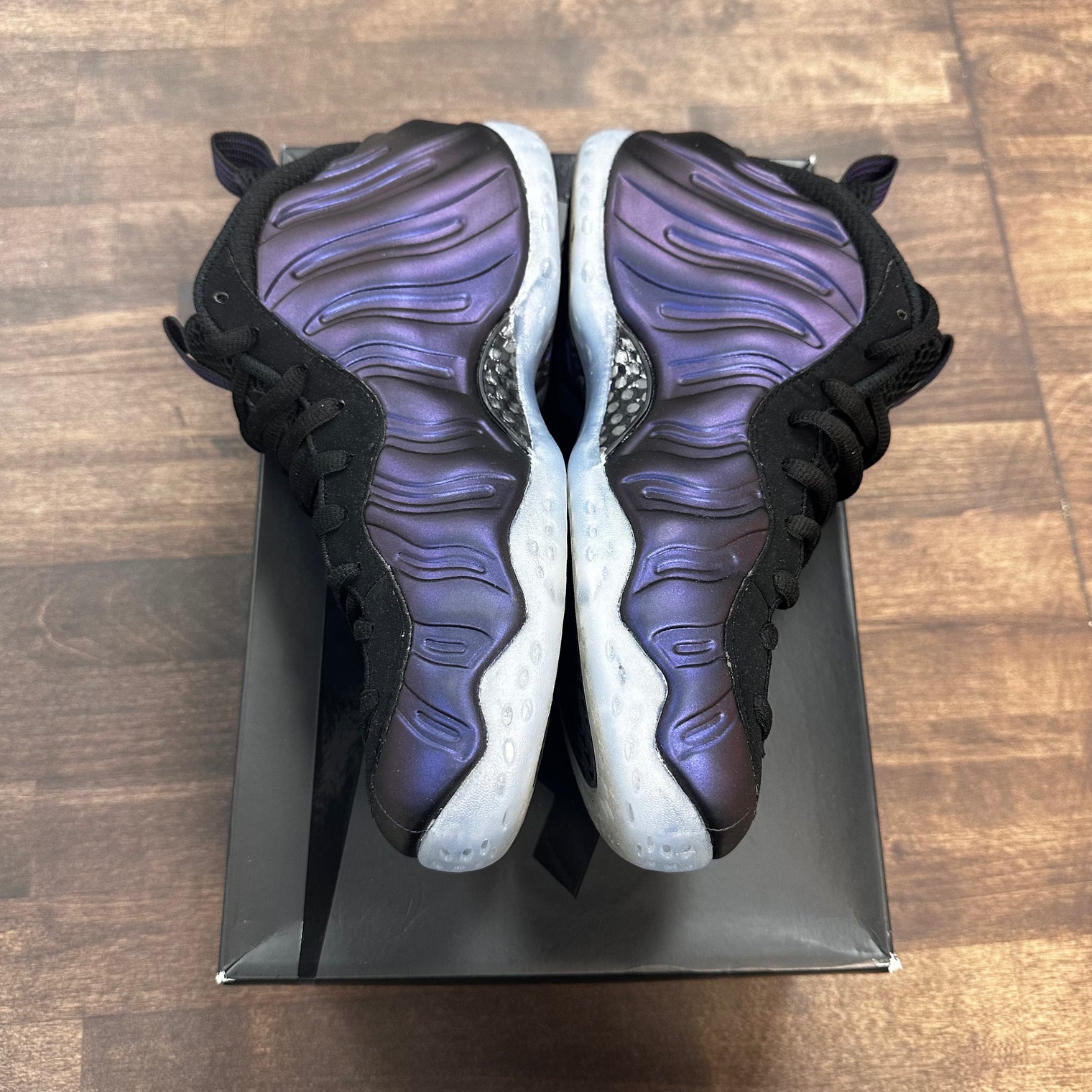 Eggplant Foamposite (2024) (USED)