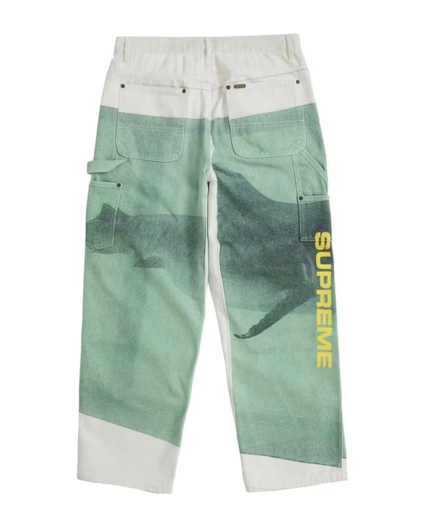 Supreme Damien Hirst Denim Pant