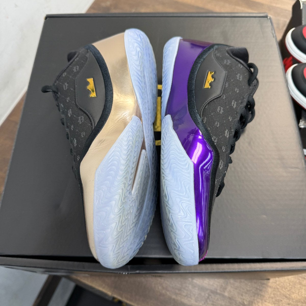Nike LeBron 23 The Chosen One and The One Who Chose (Translucent Outsole) Size 10 (Pre-Owned)