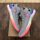 Nike Zoom LeBron NXXT Gen Wolf Grey Size 13 (Pre-Owned) - Image 1