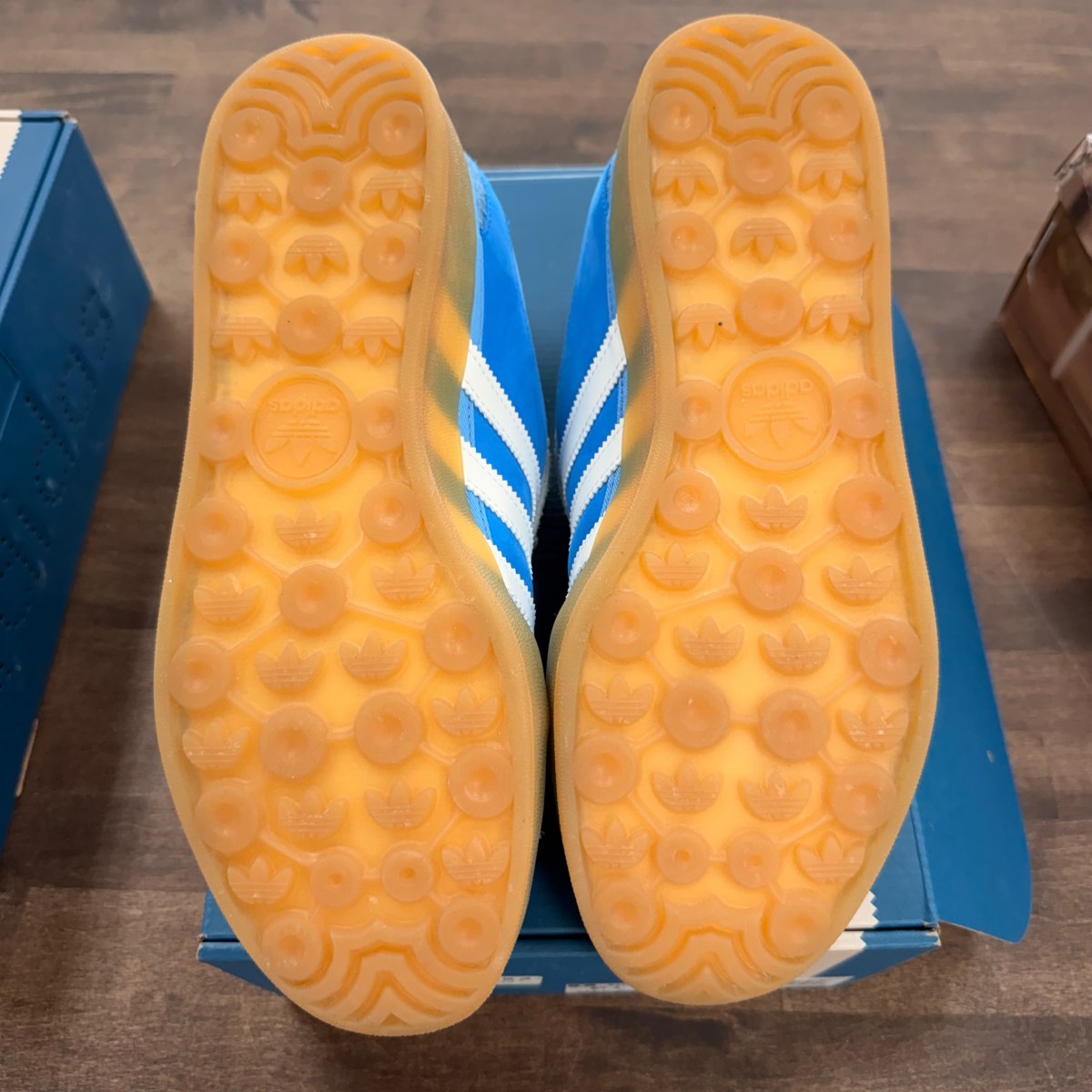 adidas Gazelle Indoor Bad Bunny San Juan - Image 5