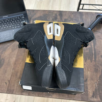 Jordan 6 Retro DMP (2020) - Image 3