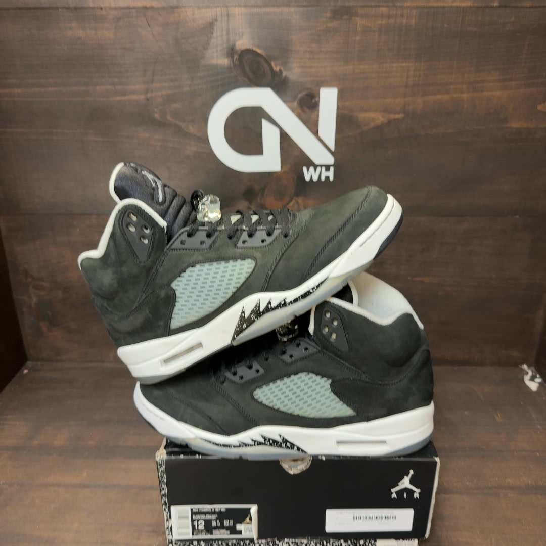 Jordan 5 Retro Moonlight (2021) - Image 1