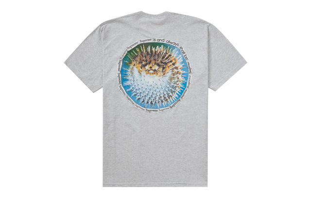 Supreme Blowfish Tee Ash Grey
